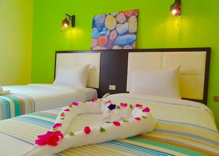 Naama Blue 3*